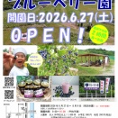 ブルーベリー園の開園日は、6月27日（土）9:00 ～  となりました。