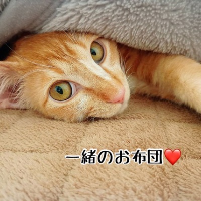 猫とお酒と日々のこと Powered by ライブドアブログ