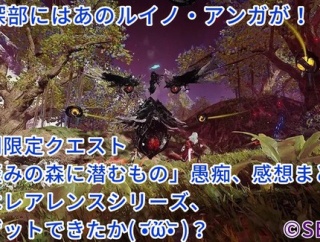 【NGS】期間限定クエスト「歪みの森に潜むもの」の感想、愚痴まとめ( •᷄ὤ•᷅ )　なお固定のクリア時間は相当早いらしい【令和版アンガ】