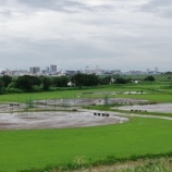 『断続的に雨が降り続いています』の画像