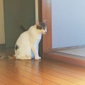 盆法要