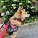 今日はノー残業じゃないか！