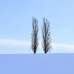 masaの介護福祉情報裏板