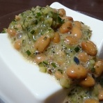 有限会社みうらドット