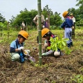 親子で木を植えよう！