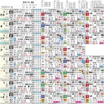 ハイブリッド競馬新聞