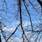 おばさんも歩けば風景に出会う