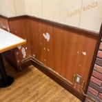 インテリアさつき