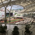 『神戸新聞杯2023　予想見解』の画像