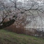 気ままなカメラアイ。