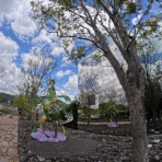 voodootalk's blog*