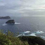 小笠原父島　オガツアーのブログ３