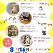 怖いもの知らずの怖いもの。