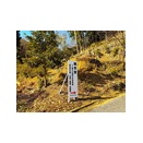 金色のロウバイに映えて観音堂