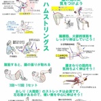 きんにく様の言うとおり