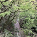 悔しい夏
