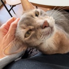 おヒゲが切れてもお毛毛薄くても、かわいいぼくちん