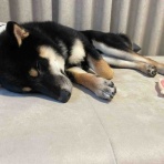 No.125  日日是好日