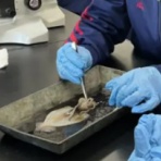 御代田町（西軽井沢）移住生活　軽井沢移住