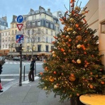 P*J*' s Home and Garden