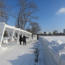 乱舞するダイヤモンドダスト（2026年3月1日）