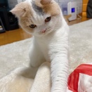 ツンツンギャル