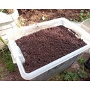 3月のエサ替え。