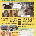 那珂川市議会議員　松尾まさたか　活動ブログ