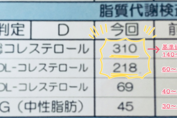 健康求道中 コレステロール