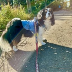 イヌじゃないの、ムスメなの☆