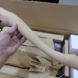 『ひさしぶりに、、』の画像