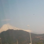 モウロクジジイ:続編桜姫の庭