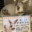 三毛です“〆(￣ ￣*)