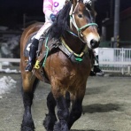 クロミちゃんの競馬日記