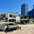 今週末に新潟市で開催される『イベント』まとめてみた。2025年10月18日～19日。
