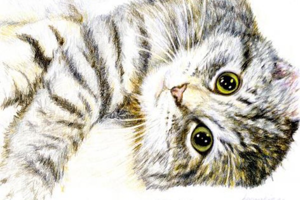 一日一猫絵
