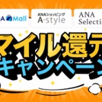 SFC修行、ときどき観光