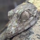 今週末は……！