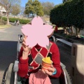 🌸はじめての春レク🌸