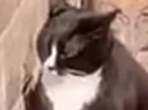 【人気すぎる】 今日も彼らが並んでいた → 秘密の充電スポットはこちらです…