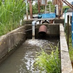 熱血！　幸運児