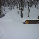 今年は雪が少なかったが、雪が多い年は…
