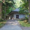 暑さに負けるな！夏草の生命力に感嘆！
