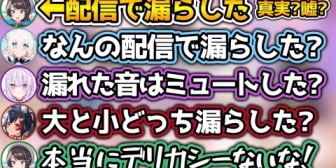 【ホロライブ】スバルにデリカシーがなさすぎる質問をしまくるホロメンたちwww