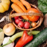 結局、老けに効果がある食べ物や行為(方法)って何が一番良いんだ？