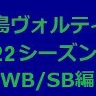 『徳島ヴォルティス2022年陣容 SB/WB編』の画像