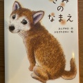 毎日、暑すぎて・・・