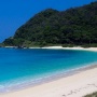 【ガチでヤバい】「世界自然遺産・奄美大島で◯◯を栽培しよう！」とするクラウドファンディングが登場　→　生態系を破壊するガチ危険行為だから絶対やめろ！と話題に