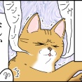 猫の悪夢