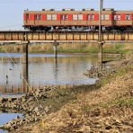 ohanefu　blog　 ～snap photo～